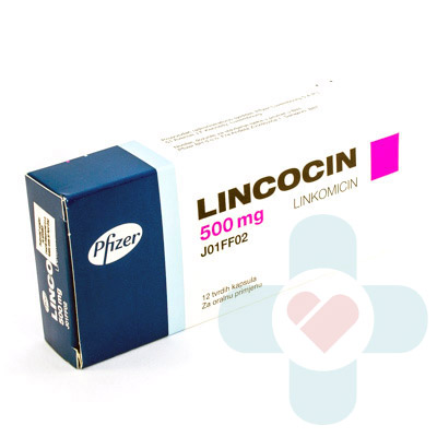 This medicine contains the active ingredient lincomycin which belongs to a group of medicines called lincomycin antibiotics. These medicines prevent the g